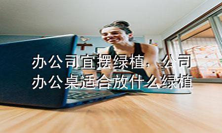 办公司宜摆绿植，公司办公桌适合放什么绿植