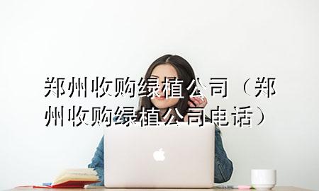 郑州收购绿植公司（郑州收购绿植公司电话）