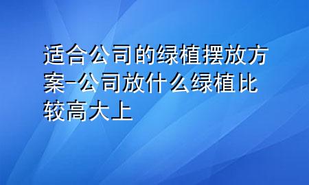 适合公司的绿植摆放方案-公司放什么绿植比较高大上