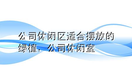 公司休闲区适合摆放的绿植，公司休闲室