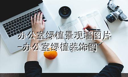 办公室绿植景观墙图片-办公室绿植装饰图