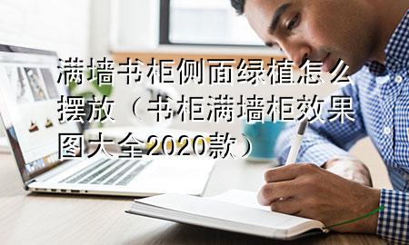 满墙书柜侧面绿植怎么摆放（书柜满墙柜效果图大全2020款）