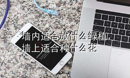 墙内适合放什么绿植，墙上适合种什么花