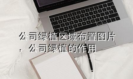 公司绿植区域布置图片，公司绿植的作用