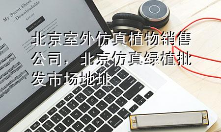 北京室外仿真植物销售公司，北京仿真绿植批发市场地址