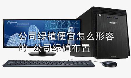 公司绿植便宜怎么形容的-公司绿植布置