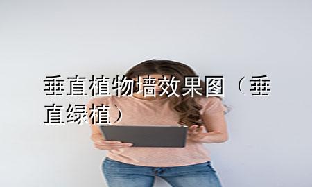 垂直植物墙效果图（垂直绿植）