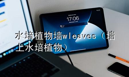 水培植物墙wleaves（墙上水培植物）