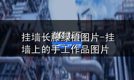 挂墙长藤绿植图片-挂墙上的手工作品图片