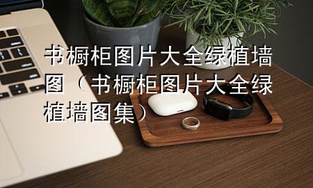 书橱柜图片大全绿植墙图（书橱柜图片大全绿植墙图集）