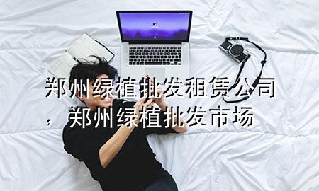 郑州绿植批发租赁公司，郑州绿植批发市场