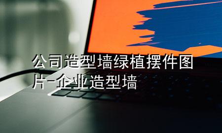 公司造型墙绿植摆件图片-企业造型墙