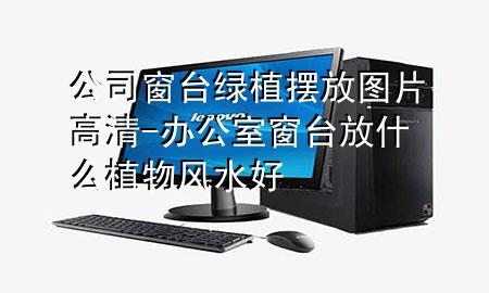 公司窗台绿植摆放图片高清-办公室窗台放什么植物风水好