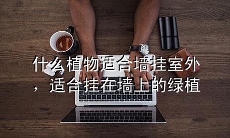 什么植物适合墙挂室外，适合挂在墙上的绿植