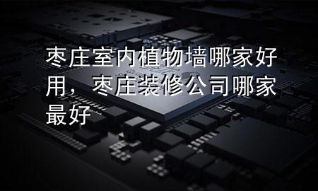 枣庄室内植物墙哪家好用，枣庄装修公司哪家最好