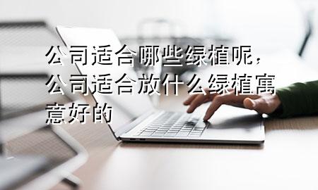 公司适合哪些绿植呢，公司适合放什么绿植寓意好的