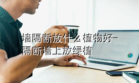 墙隔断放什么植物好-隔断墙上放绿植