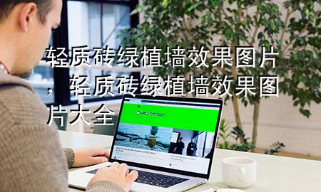 轻质砖绿植墙效果图片，轻质砖绿植墙效果图片大全