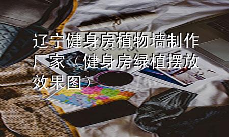 辽宁健身房植物墙制作厂家（健身房绿植摆放效果图）