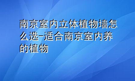 南京室内立体植物墙怎么选-适合南京室内养的植物