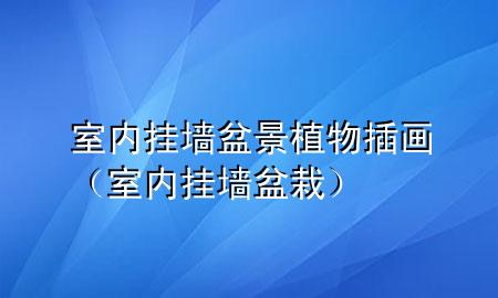 室内挂墙盆景植物插画（室内挂墙盆栽）