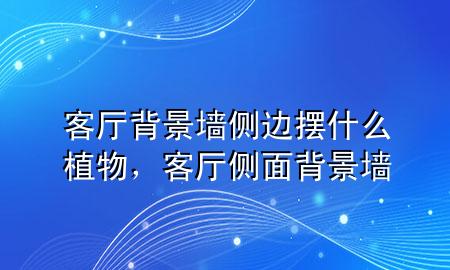 客厅背景墙侧边摆什么植物，客厅侧面背景墙