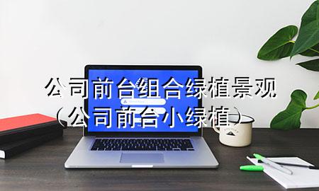 公司前台组合绿植景观（公司前台小绿植）