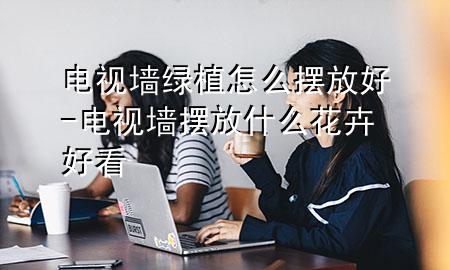 电视墙绿植怎么摆放好-电视墙摆放什么花卉好看