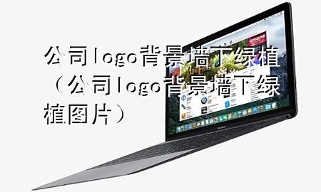 公司logo背景墙下绿植（公司logo背景墙下绿植图片）