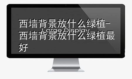 西墙背景放什么绿植-西墙背景放什么绿植最好