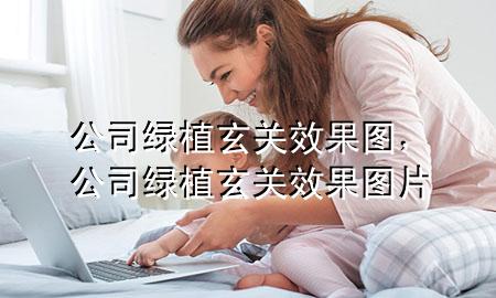 公司绿植玄关效果图，公司绿植玄关效果图片