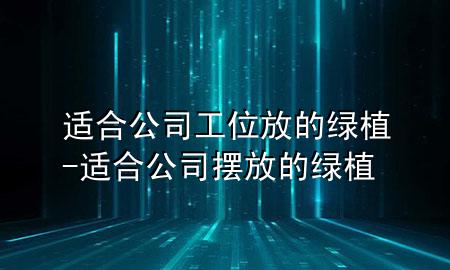 适合公司工位放的绿植-适合公司摆放的绿植