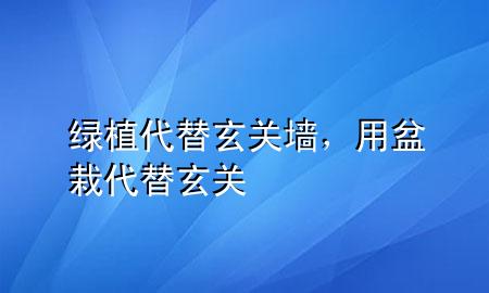 绿植代替玄关墙，用盆栽代替玄关