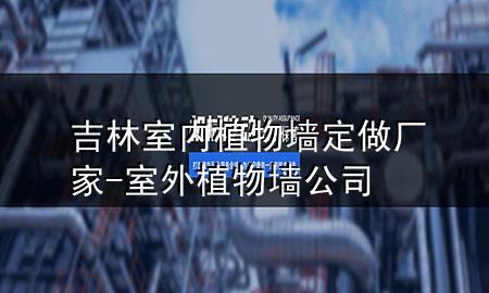 吉林室内植物墙定做厂家-室外植物墙公司