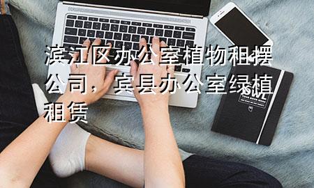 滨江区办公室植物租摆公司，宾县办公室绿植租赁