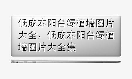 低成本阳台绿植墙图片大全，低成本阳台绿植墙图片大全集