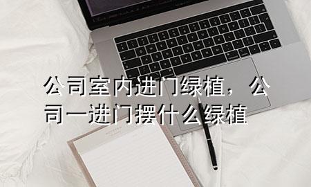 公司室内进门绿植，公司一进门摆什么绿植