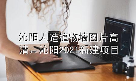 沁阳人造植物墙图片高清，沁阳2021新建项目