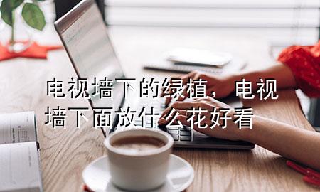 电视墙下的绿植，电视墙下面放什么花好看