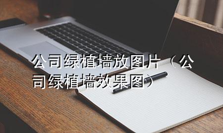 公司绿植墙放图片（公司绿植墙效果图）