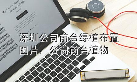 深圳公司前台绿植布置图片，公司前台 植物