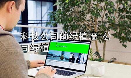 科技公司的绿植墙-公司 绿植