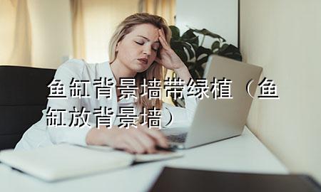 鱼缸背景墙带绿植（鱼缸放背景墙）