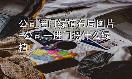 公司进门绿植布局图片-公司一进门摆什么绿植