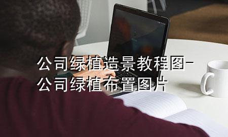 公司绿植造景教程图-公司绿植布置图片