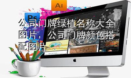 公司门牌绿植名称大全图片，公司门牌颜色搭配图片