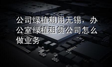 公司绿植租用无锡，办公室绿植租赁公司 怎么做业务