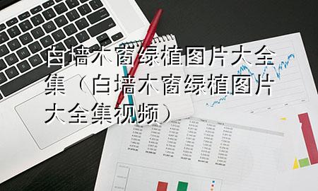 白墙木窗绿植图片大全集（白墙木窗绿植图片大全集视频）