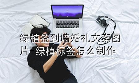 绿植签到墙婚礼文案图片-绿植标签怎么制作