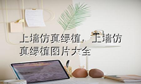 上墙仿真绿植，上墙仿真绿植图片大全